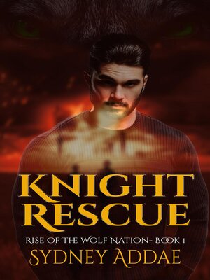 cover image of Knight Rescue